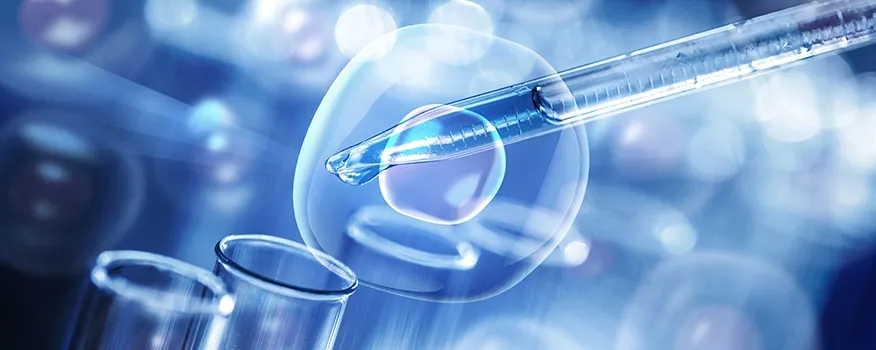 human cellular tissue nashua